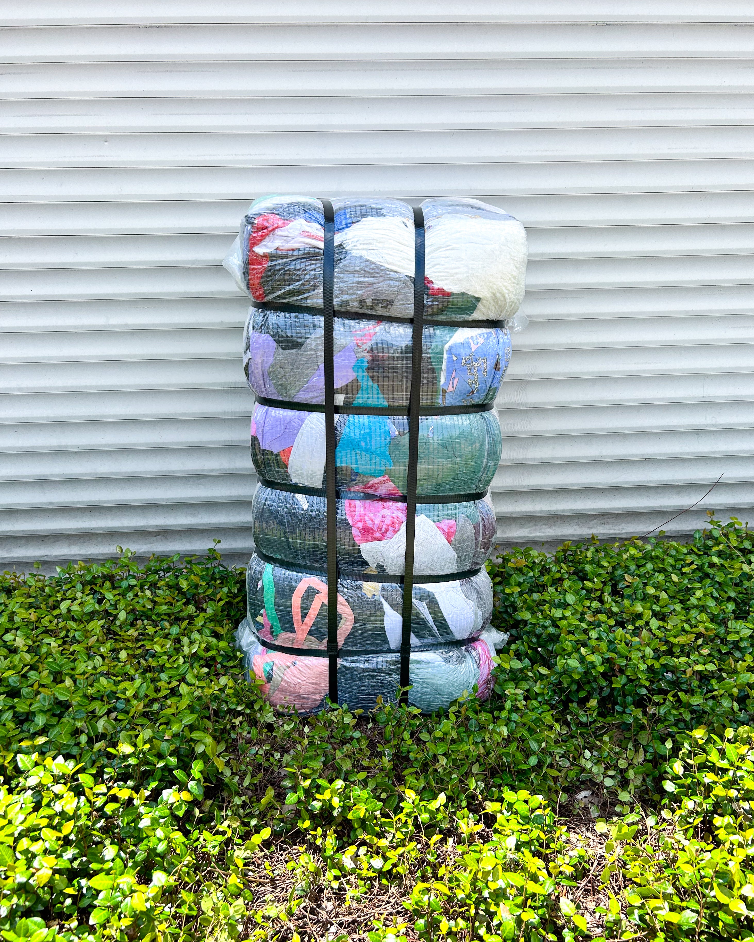 Adult Mix #3 Juvenil summer