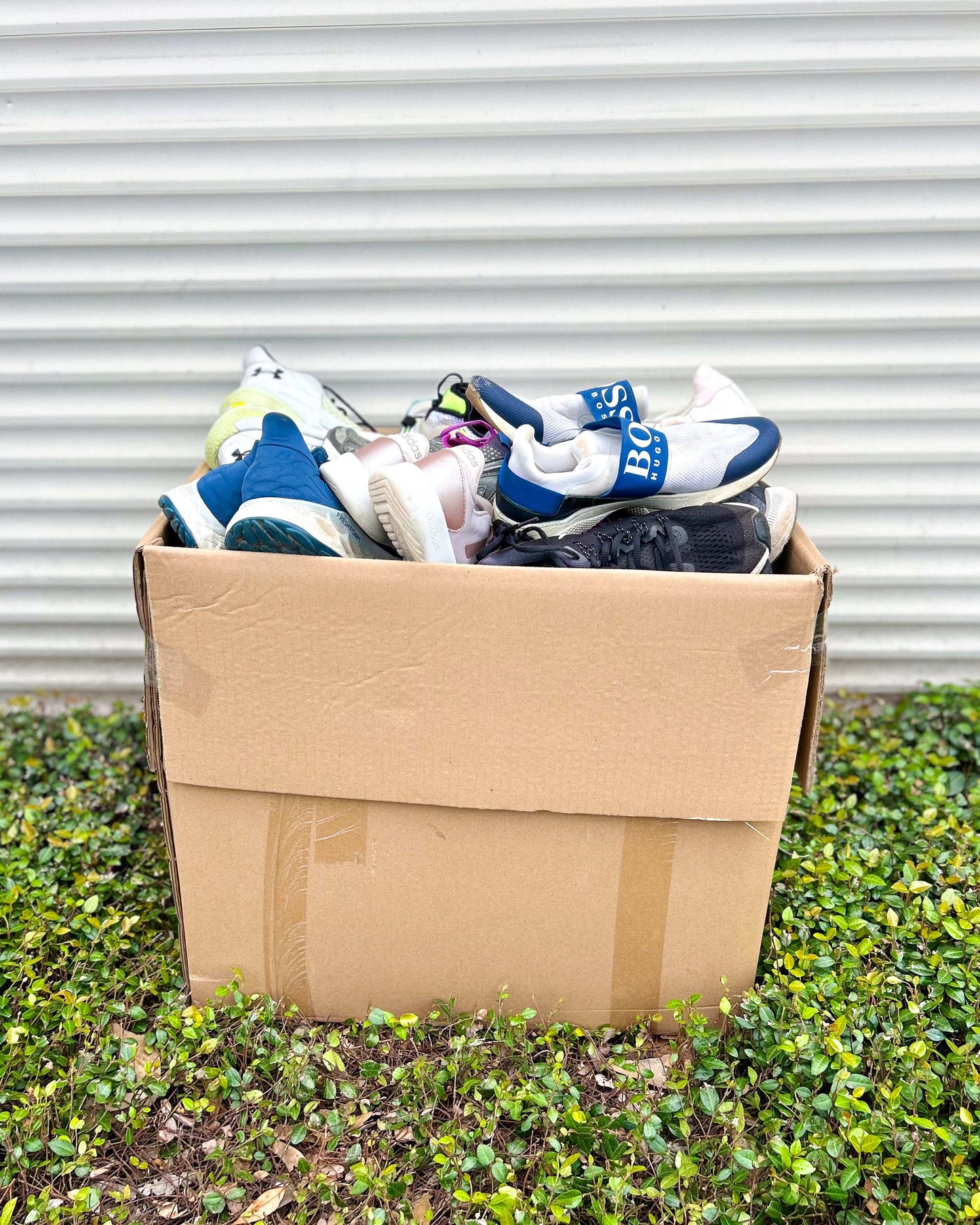 Sport Económico Mix (66LBS)