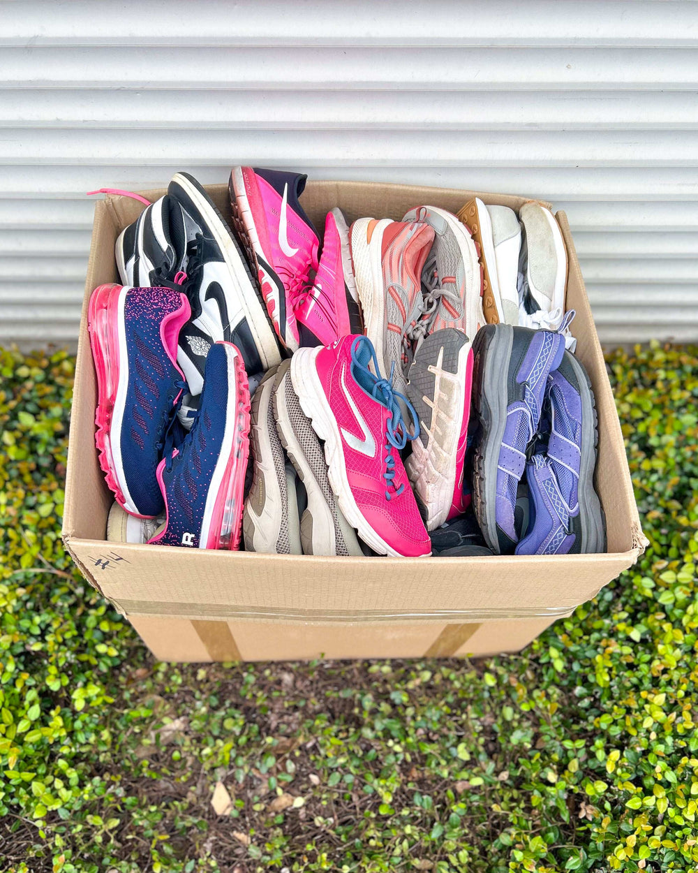 Sport Económico Mix (44LBS)