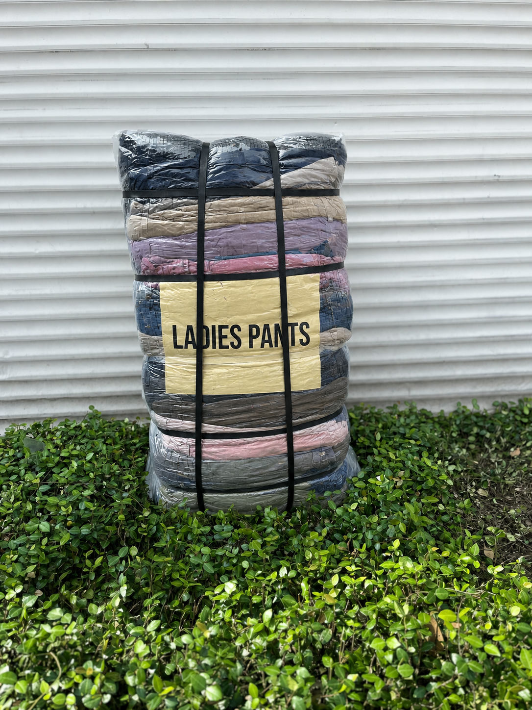 Ladies Pants #3