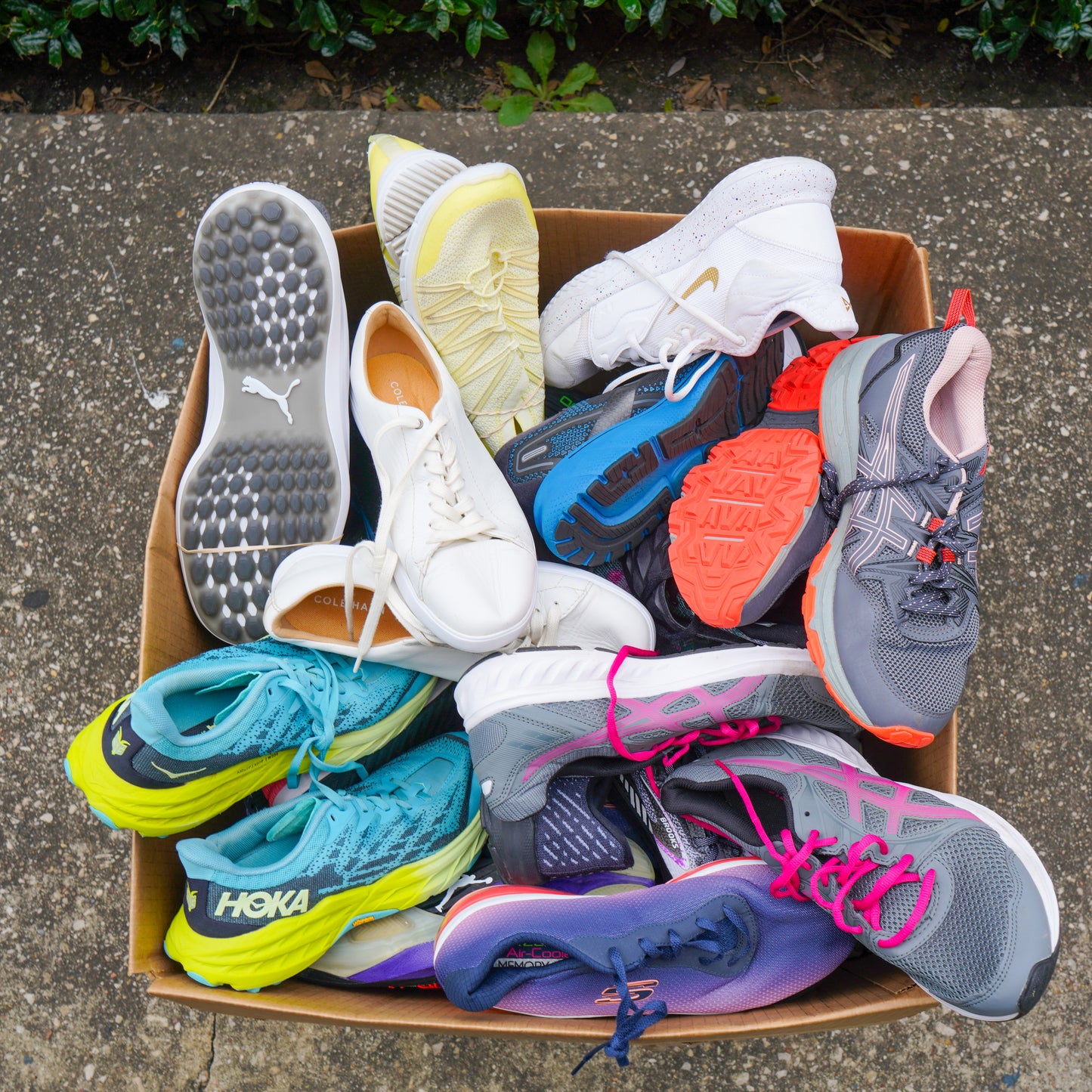 Tennis Shoes #1 (50LBS)
