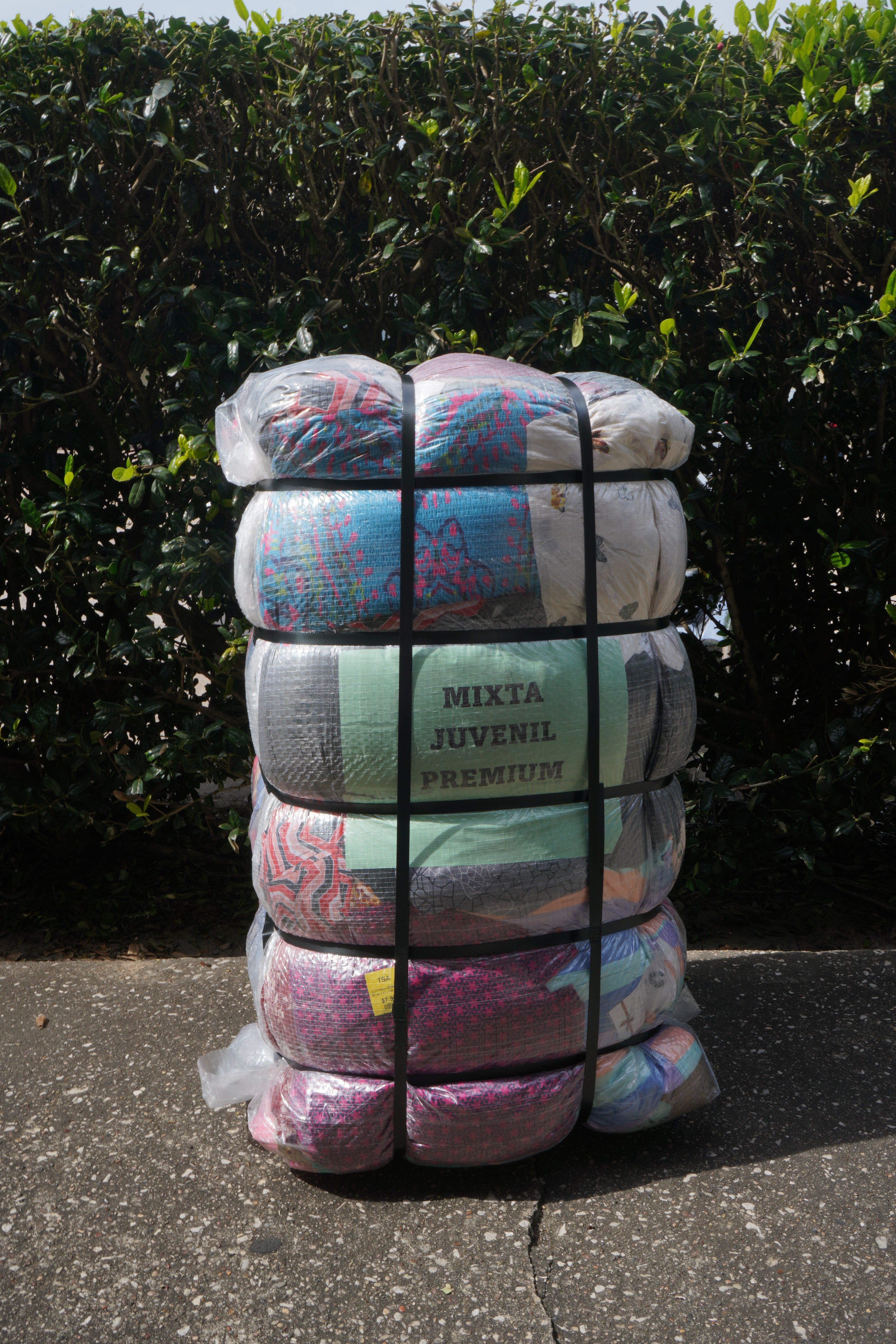 Mixta Juvenil Premium