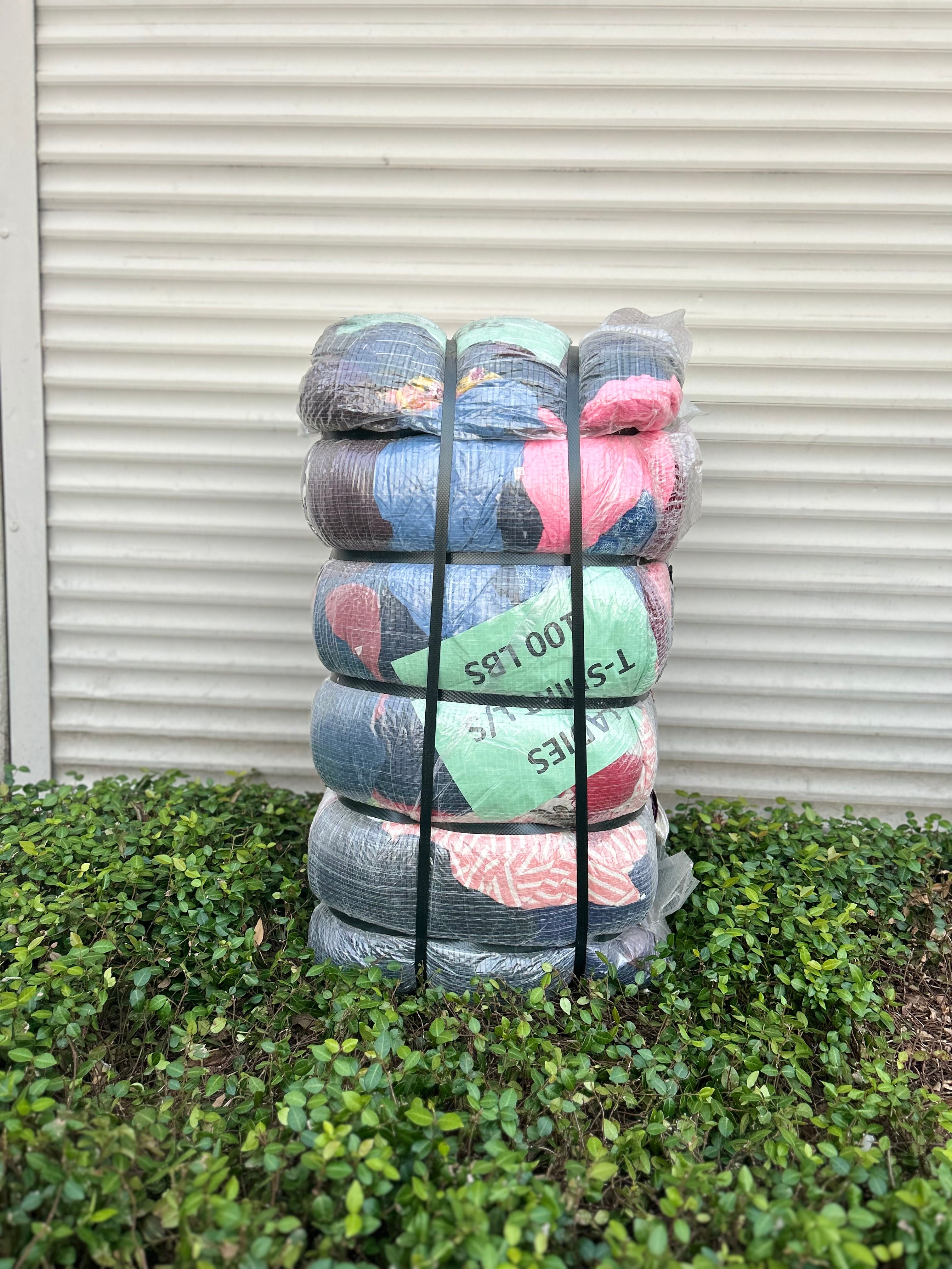 Ladies T-Shirt L/S* #1