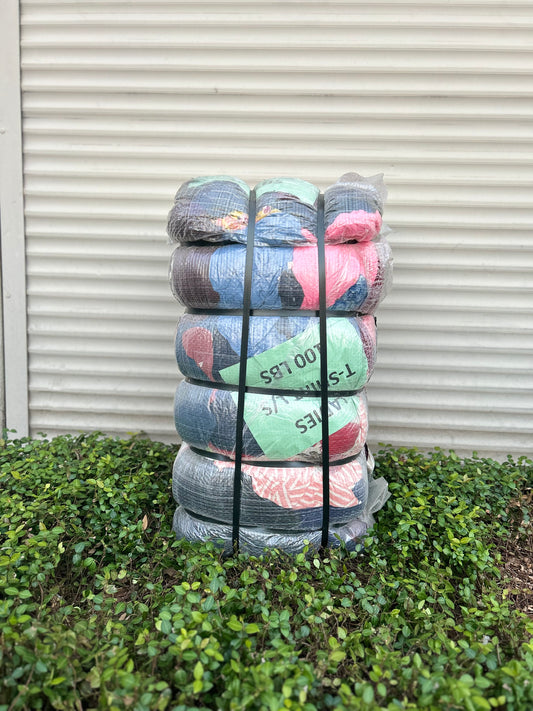 Ladies T-Shirt L/S* #1