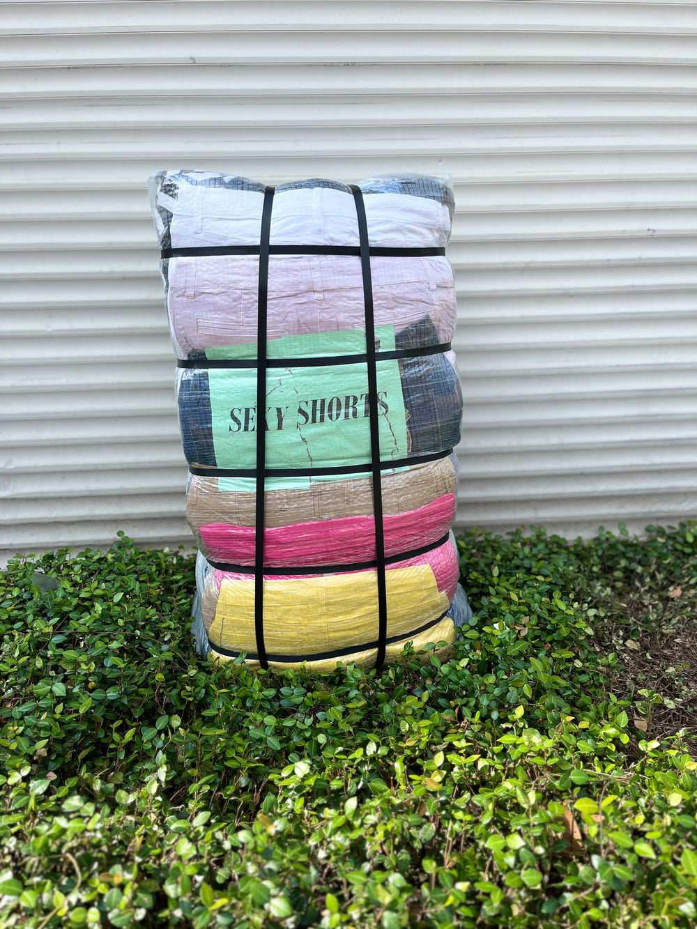 Short Sexy Mixto SEL (50 LBS)