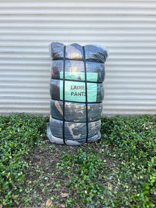 Ladies Pants #1