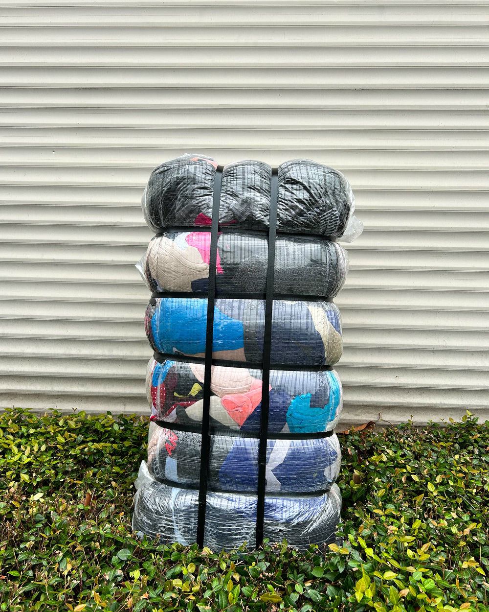 Premium Children's Winter Mix