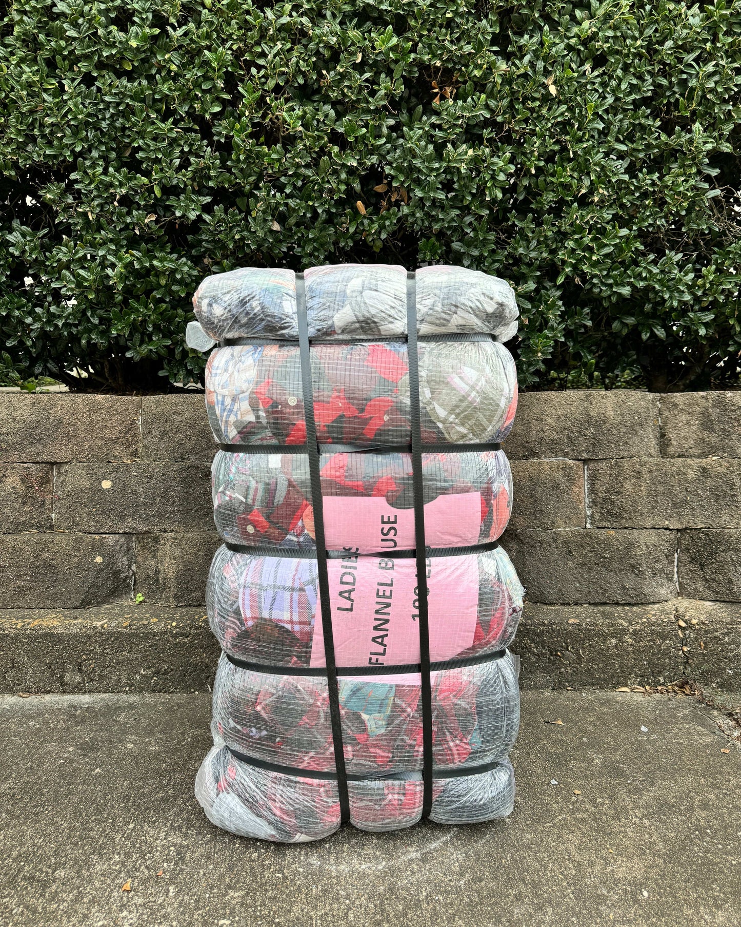 Ladies Flannel Blouse #2