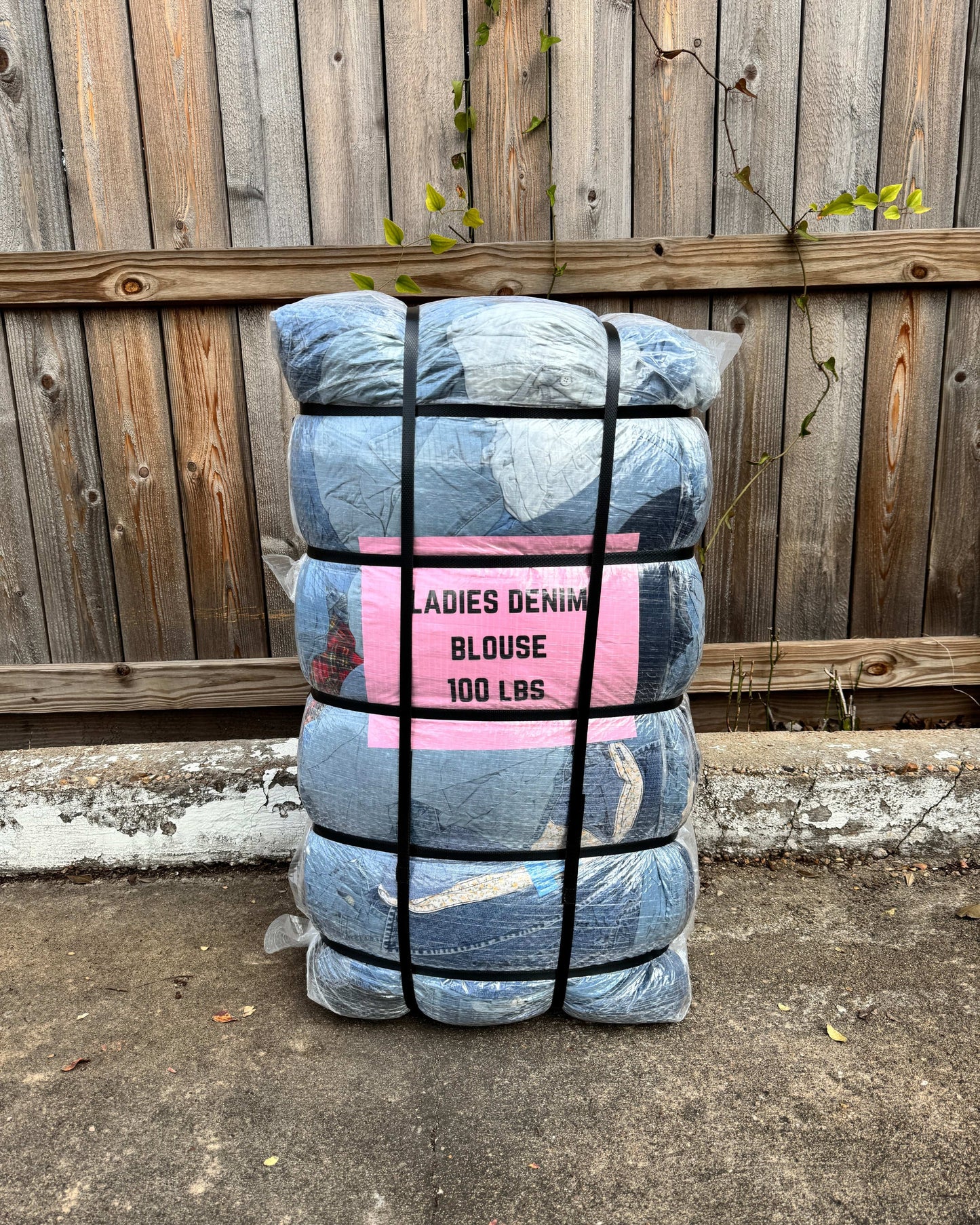 Ladies Denim Blouse #2