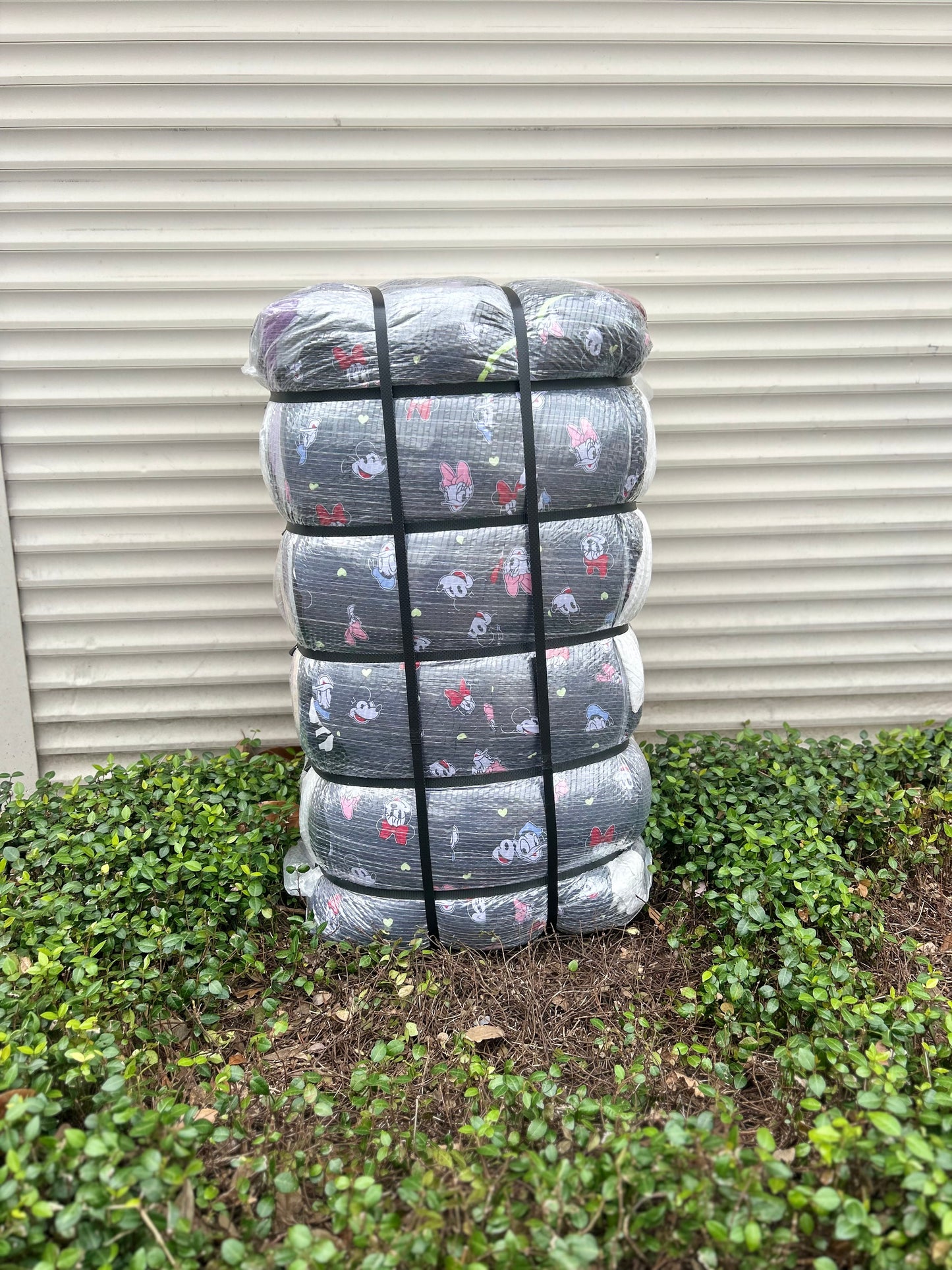 Winter Light Plus Size