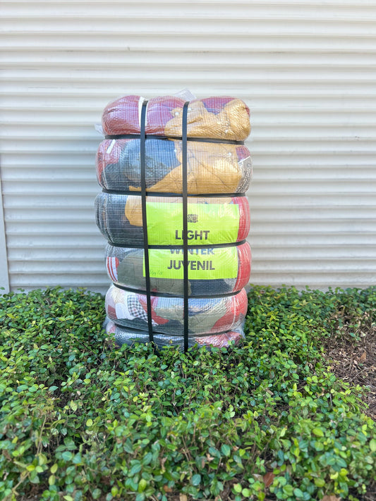 Light Winter Juvenil