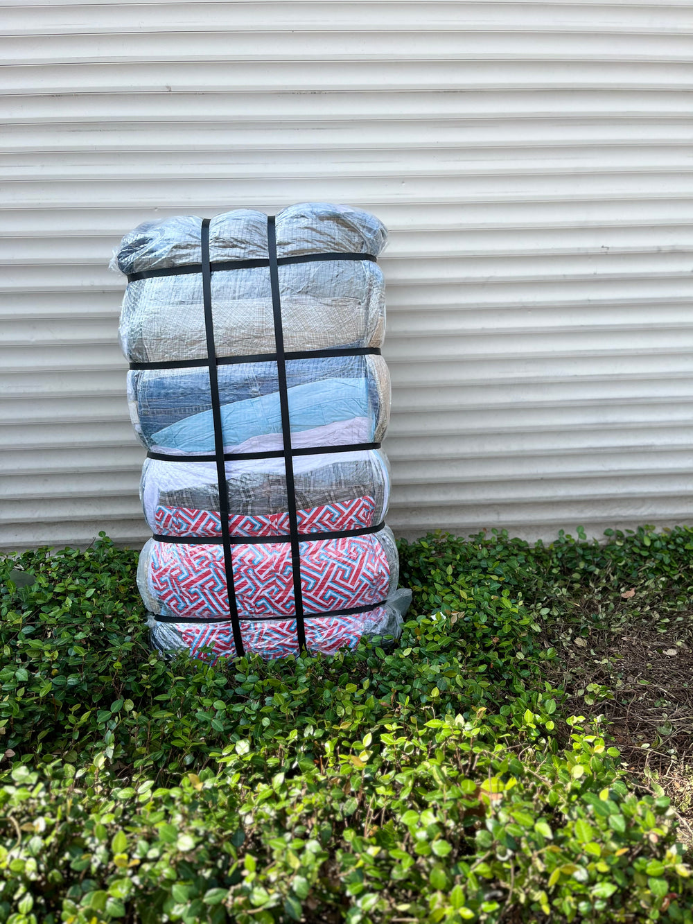 Short Sexy Mixto SEL (50 LBS)
