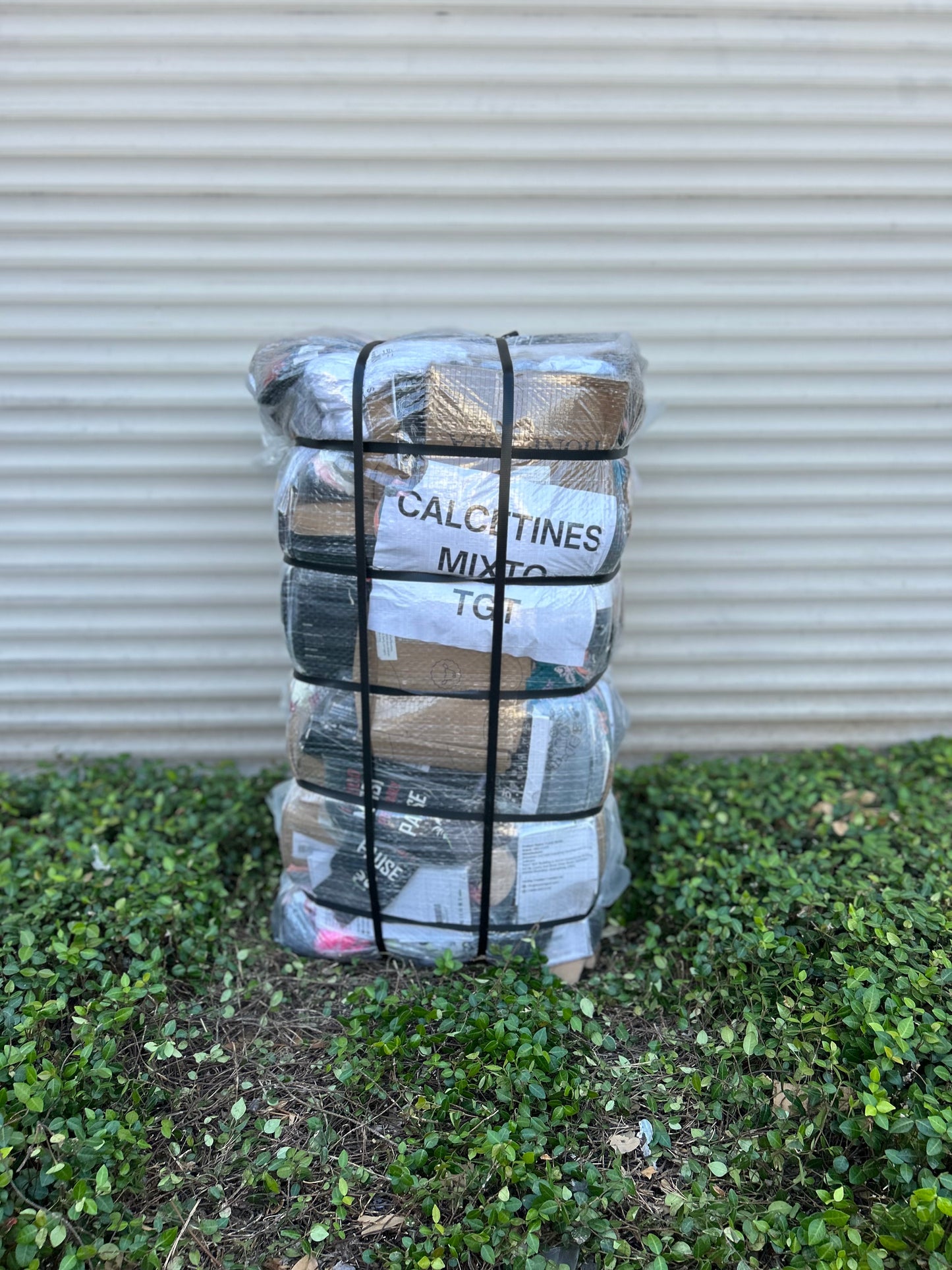 TGT Calcetines Mixtos