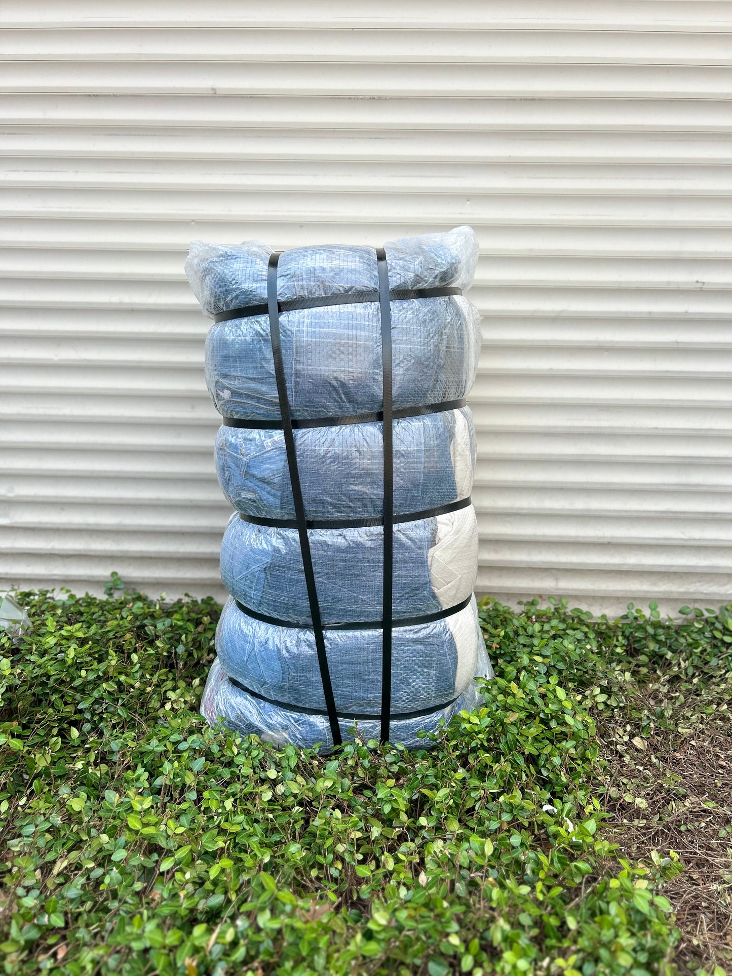 Ladies Skinny Jeans #2