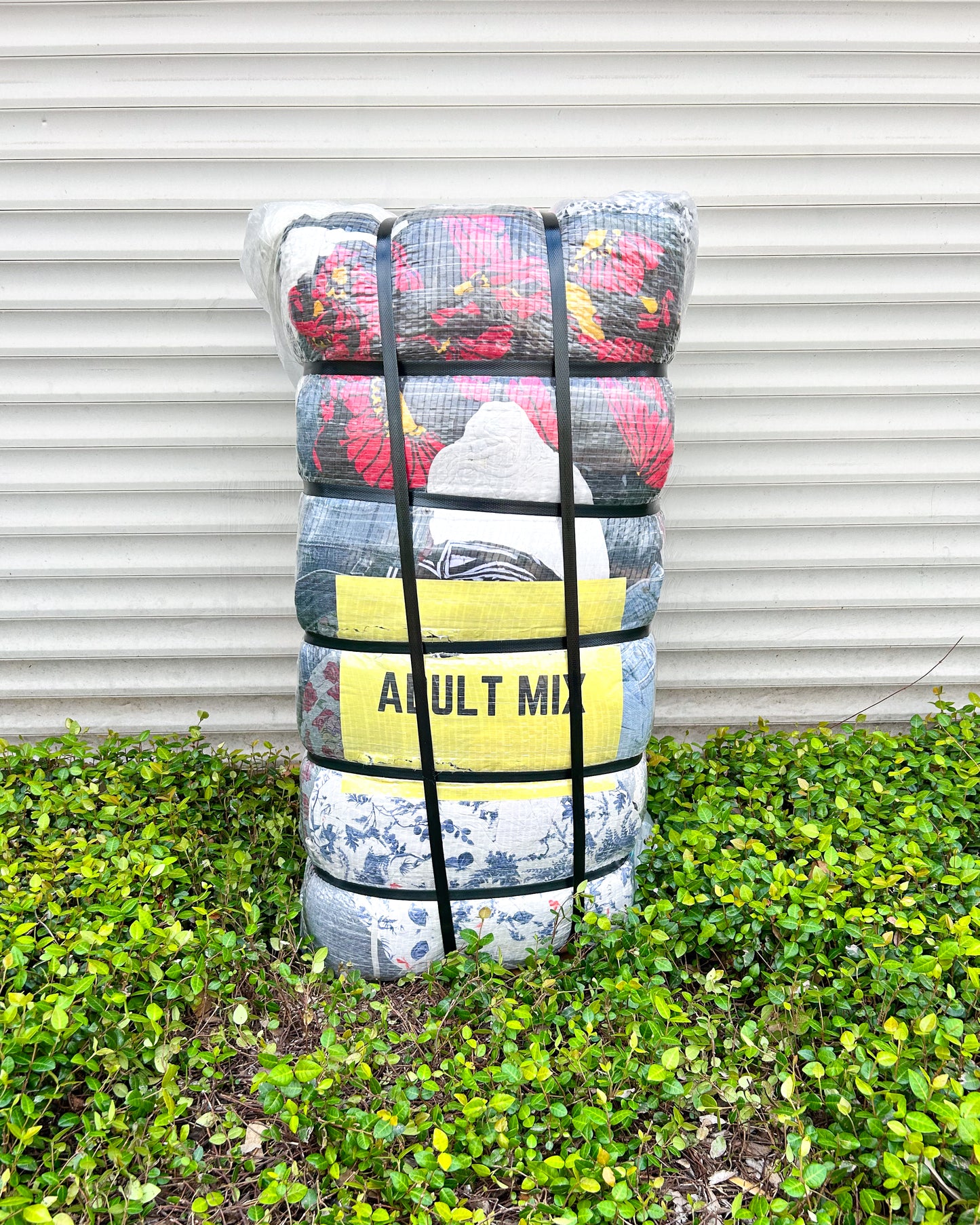 Adult Mix Juvenil summer #3