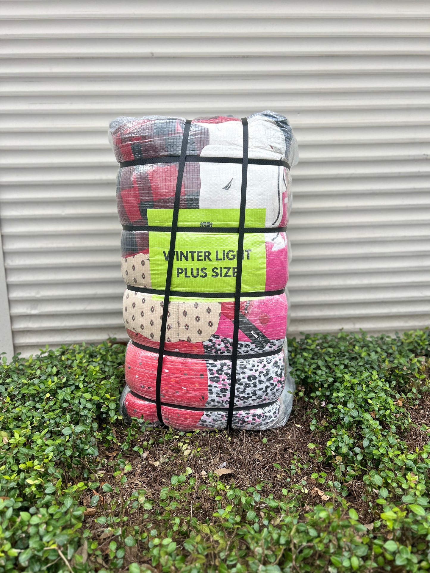 Winter Light Plus Size