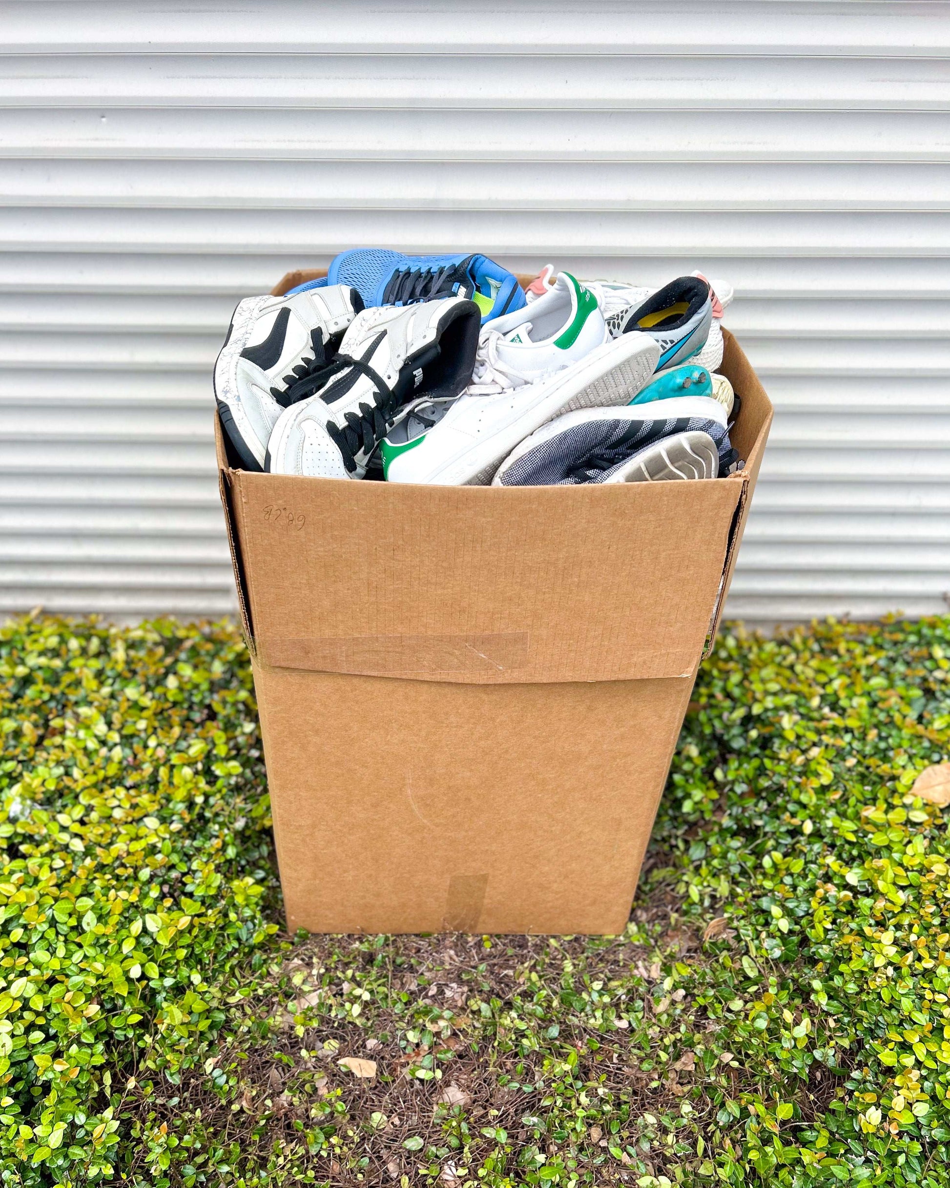 Sport Tennis Mix Shoes #1 (44LBS)