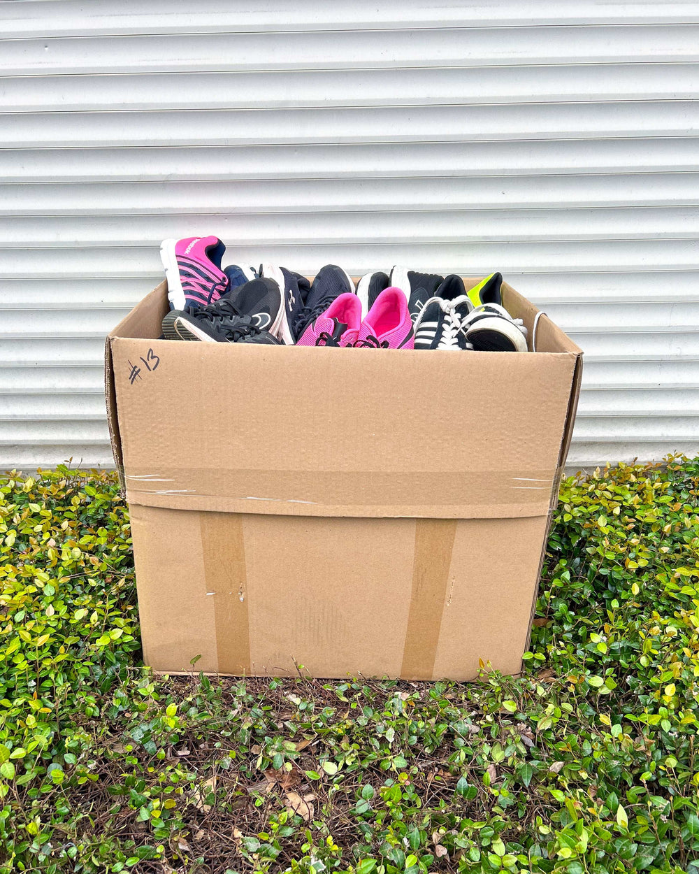 Sport Tennis Mix Shoes #2 (44LBS)