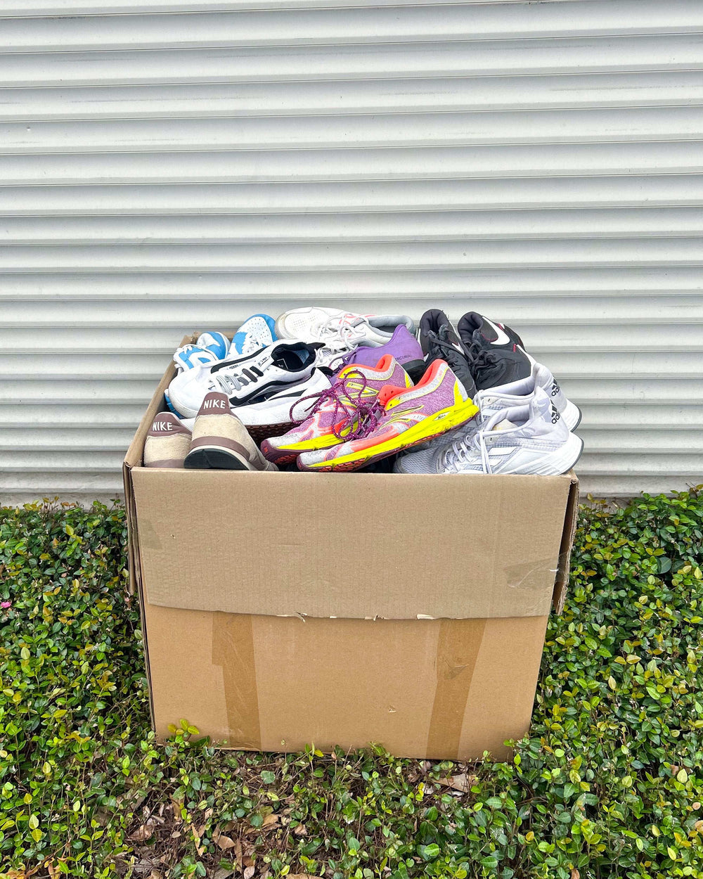 Sport Tennis Mix Shoes #2 (66LBS)