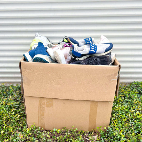 Sport Económico Mix (66LBS)