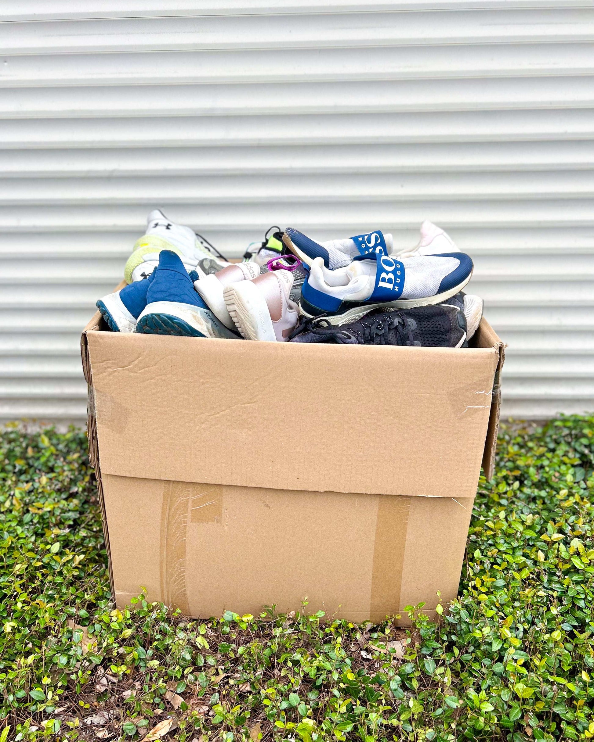 Sport Económico Mix (66LBS)