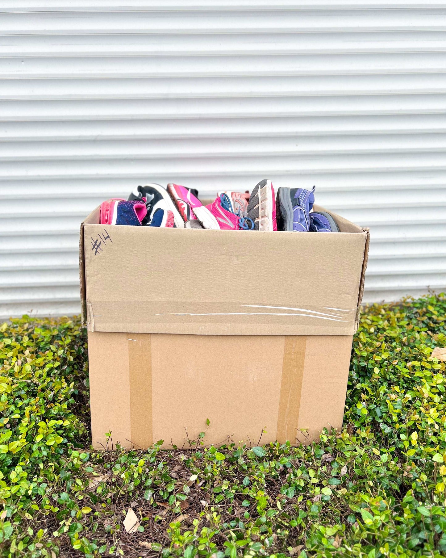 Sport Económico Mix (44LBS)