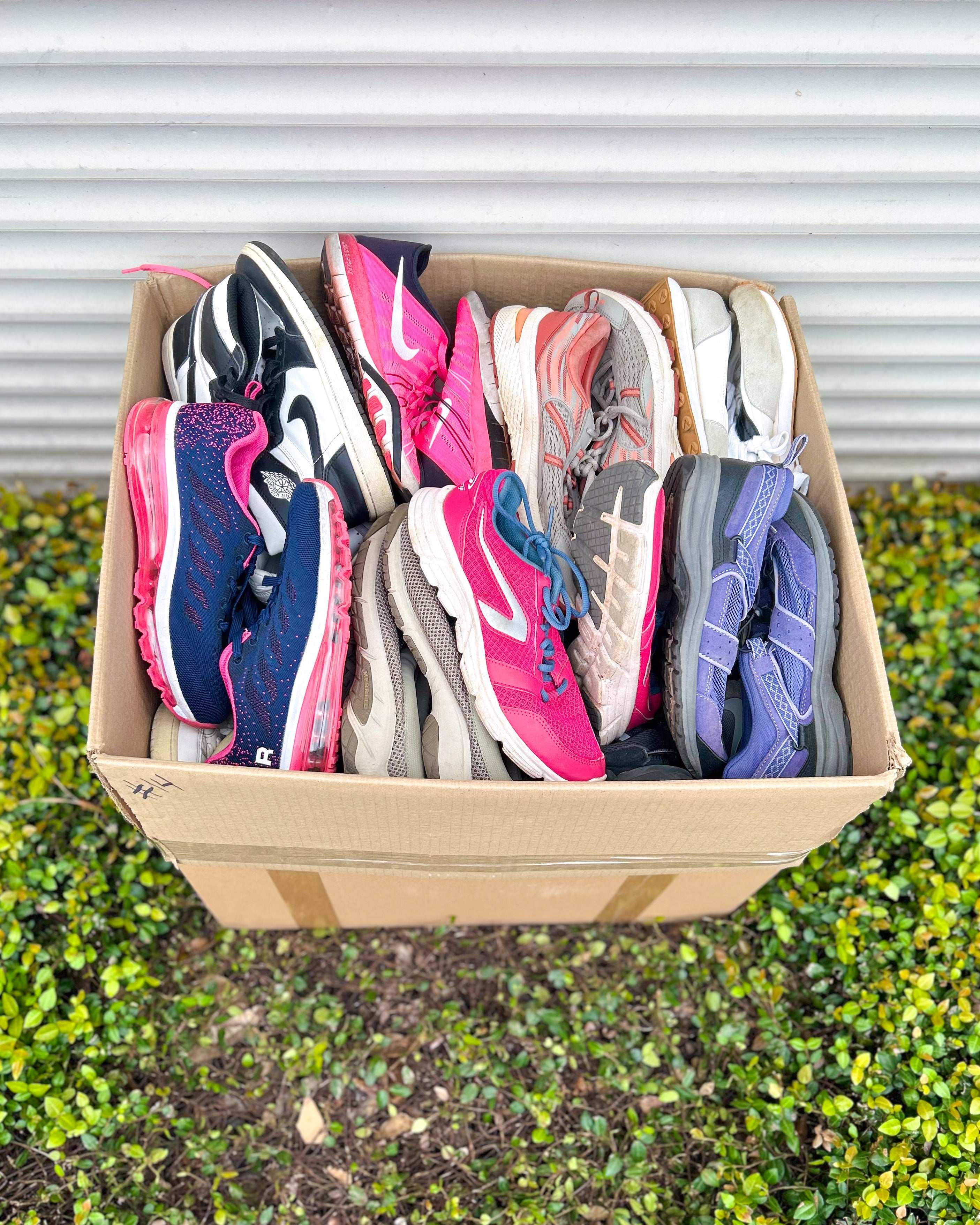 Sport Económico Mix (44LBS)