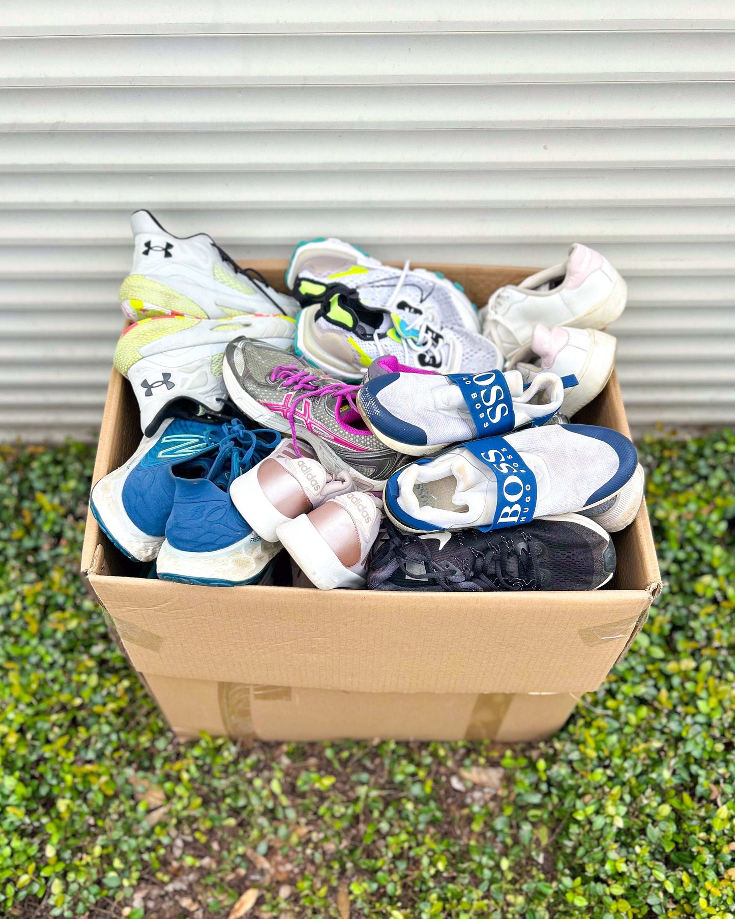 Sport Económico Mix (66LBS)