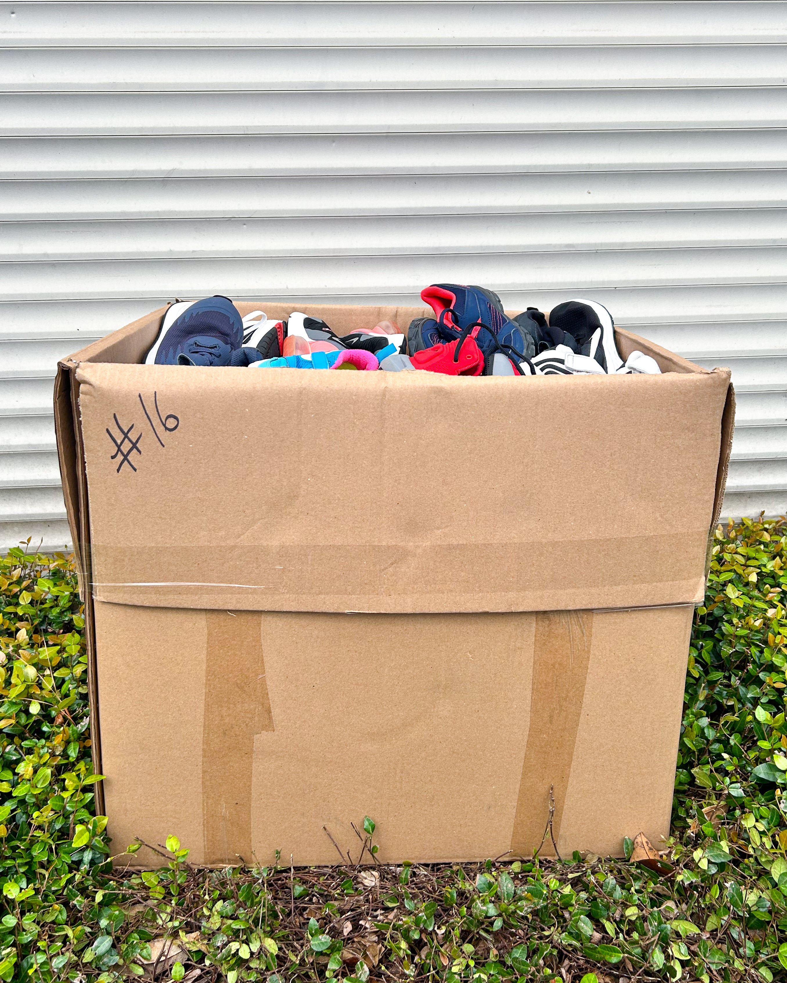 Children Shoes #1 (55LBS)
