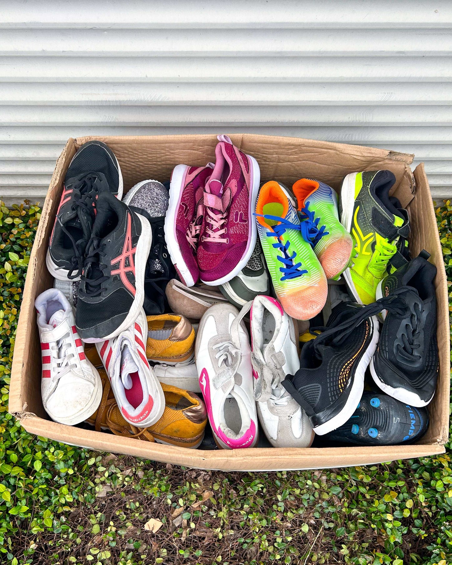 Children Shoes #2 (55LBS)