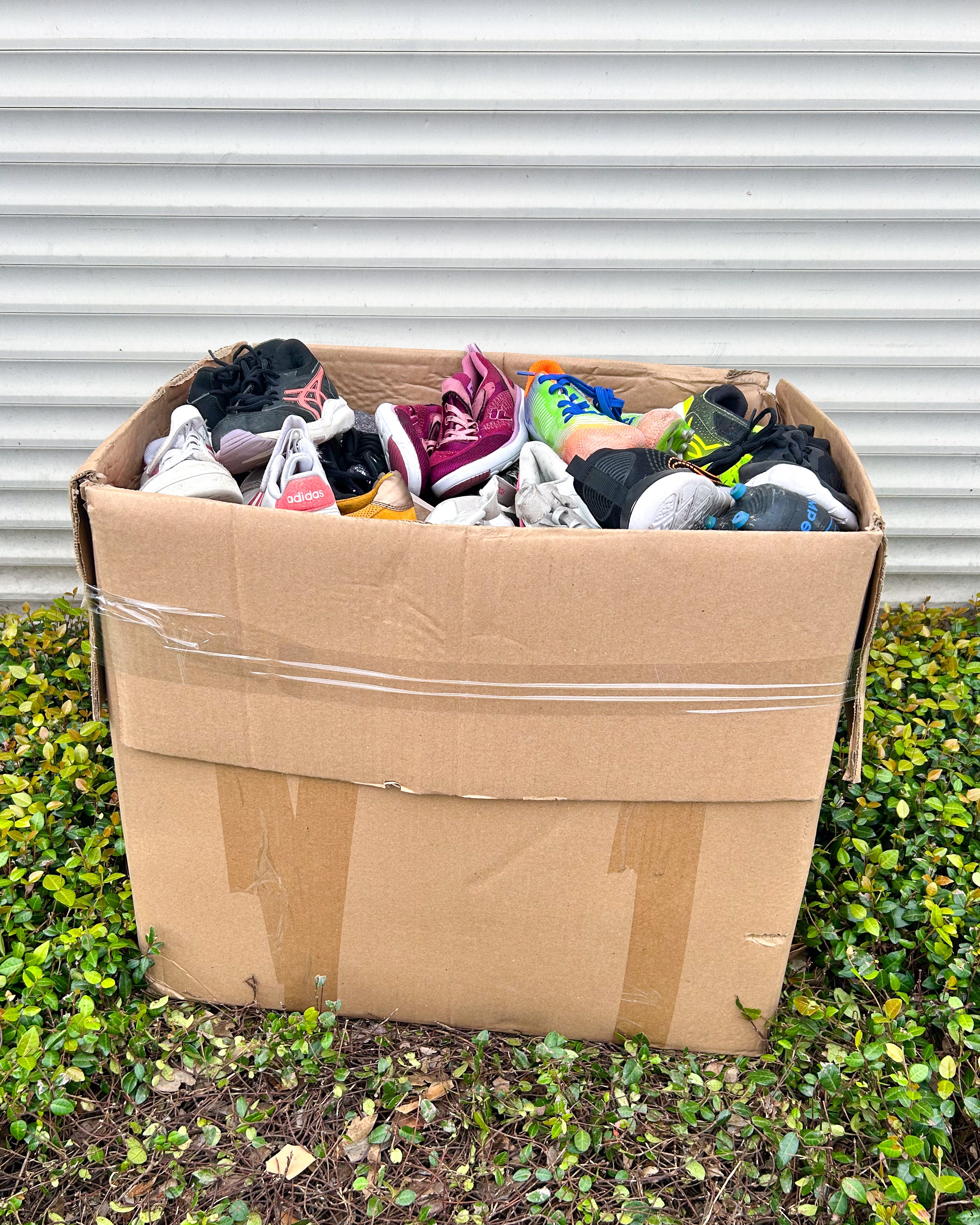 Children Shoes #2 (55LBS)