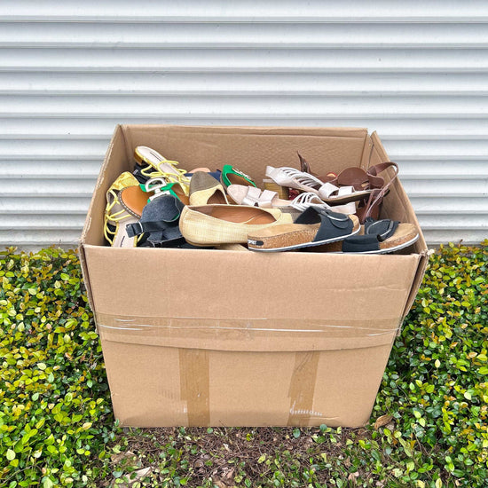 Ladies Shoes #1 (55LBS)