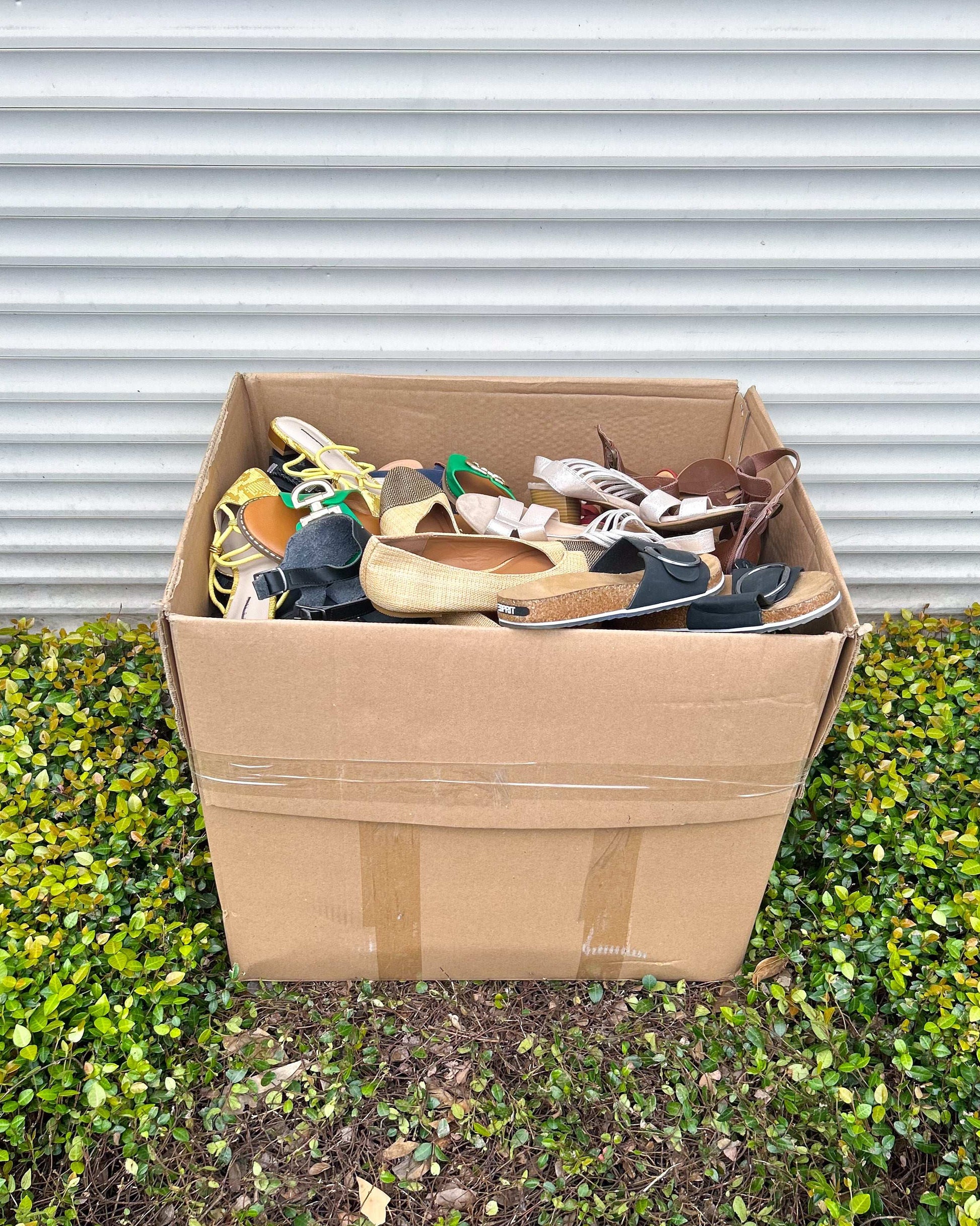 Ladies Shoes #1 (55LBS)