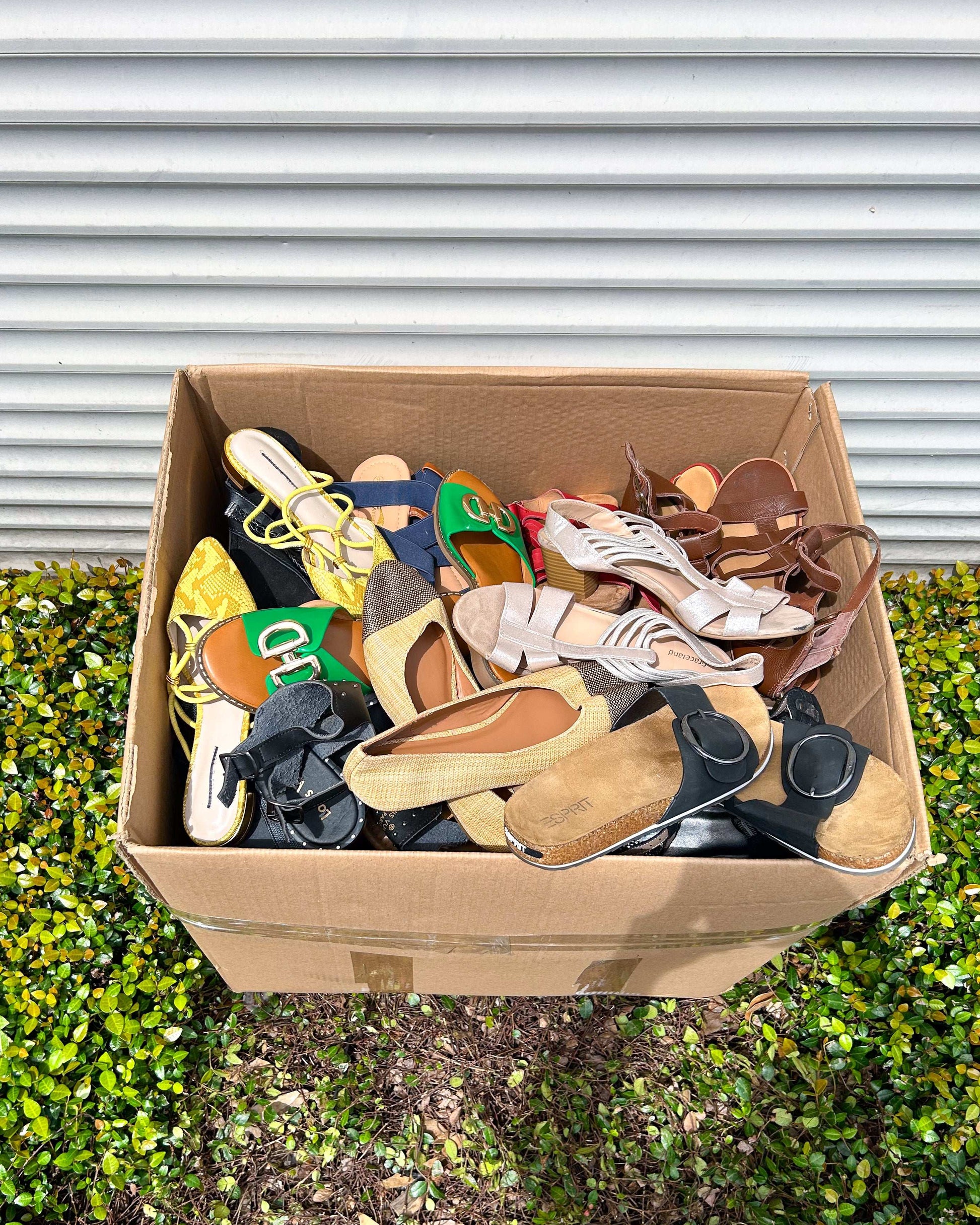 Ladies Shoes #1 (55LBS)