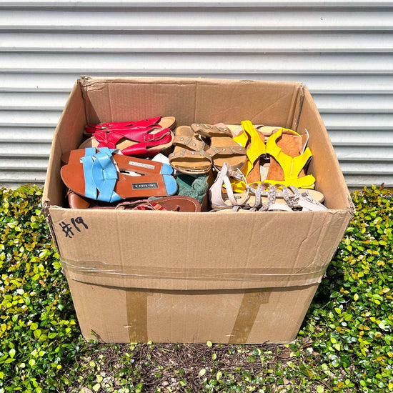 Ladies Open Shoes #2 (55LBS)