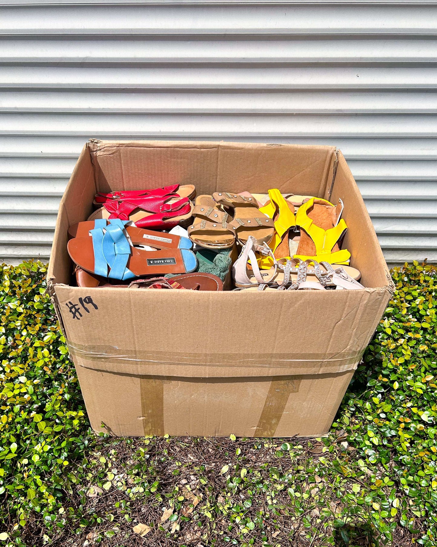 Ladies Open Shoes #2 (55LBS)