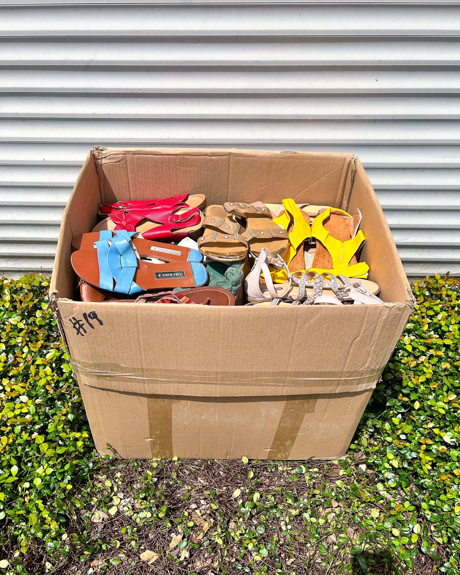 Ladies Open Shoes #2 (55LBS)