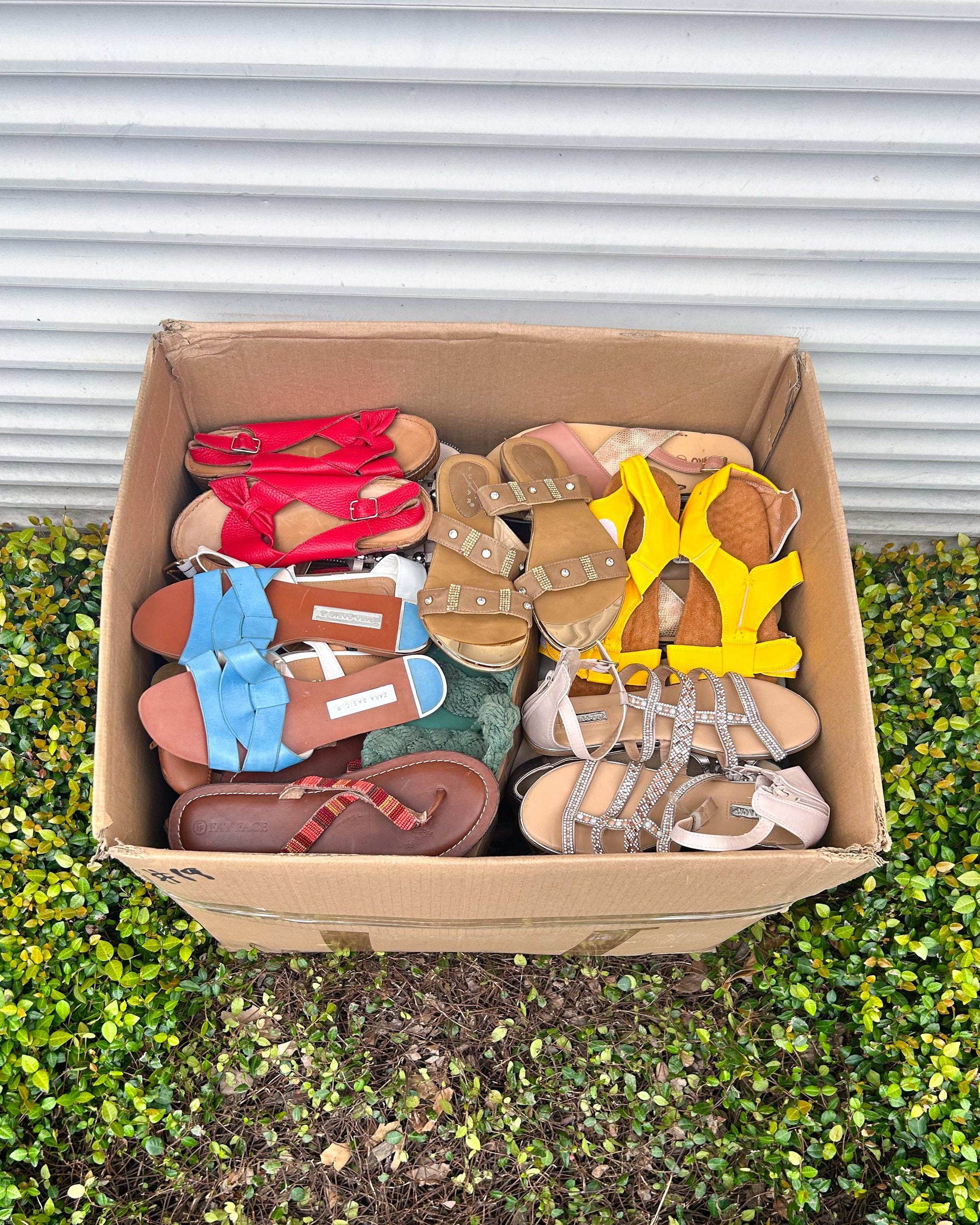 Ladies Open Shoes #2 (55LBS)