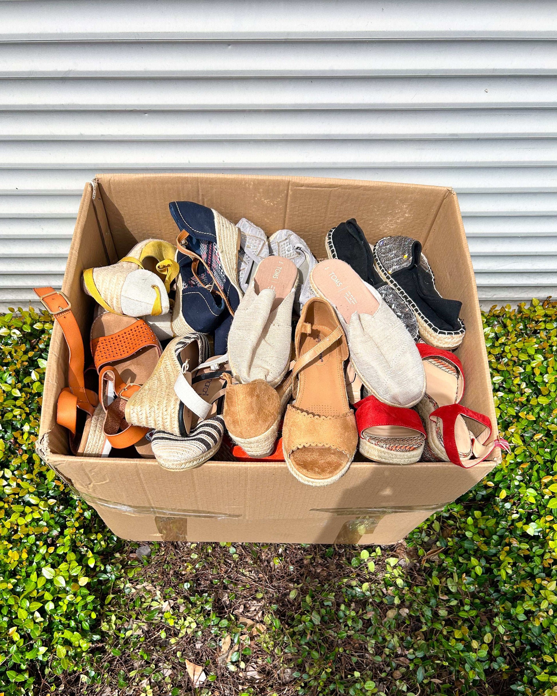 Ladies Straw #1 (55LBS)