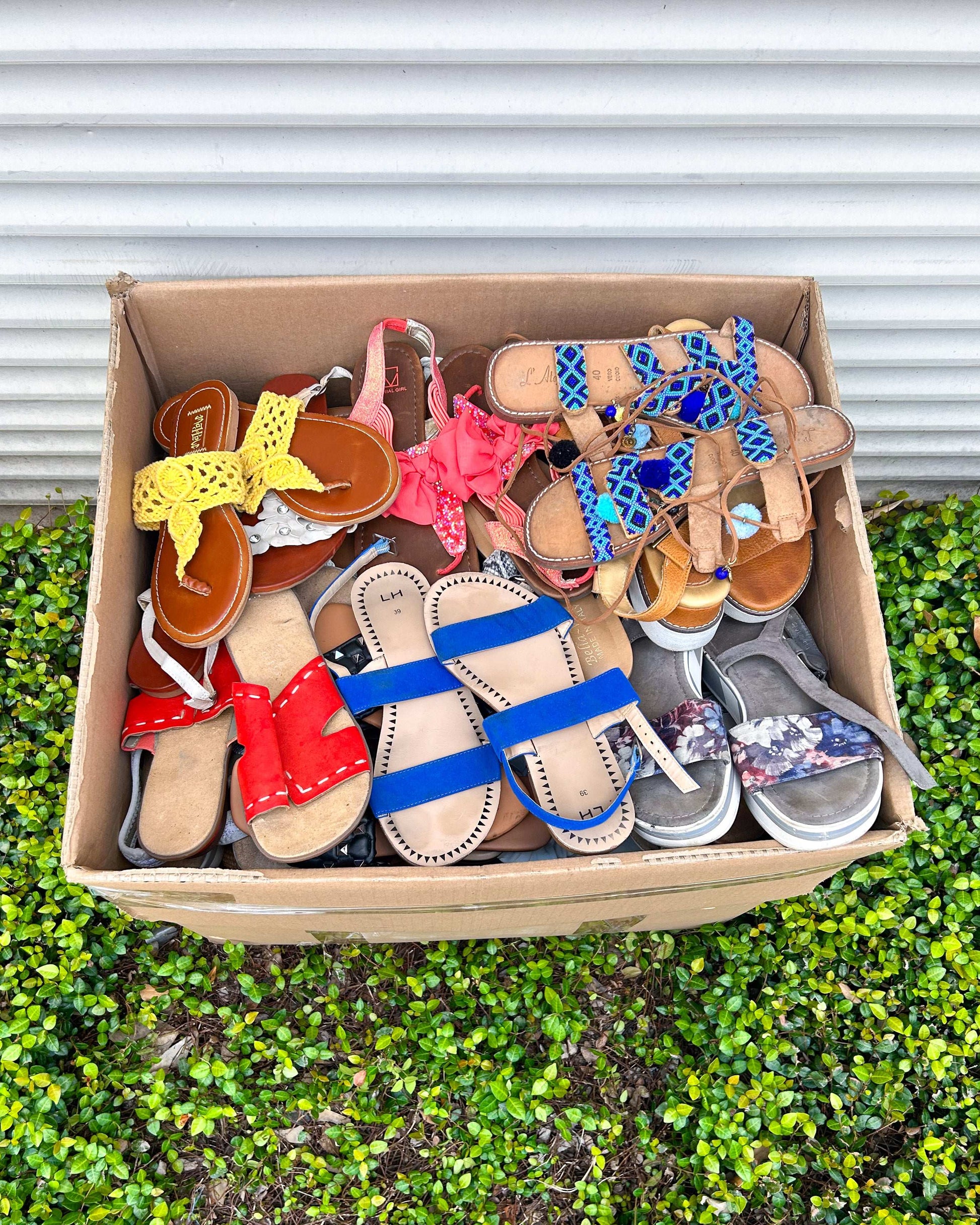 Ladies Open Shoes #2 (55LBS)