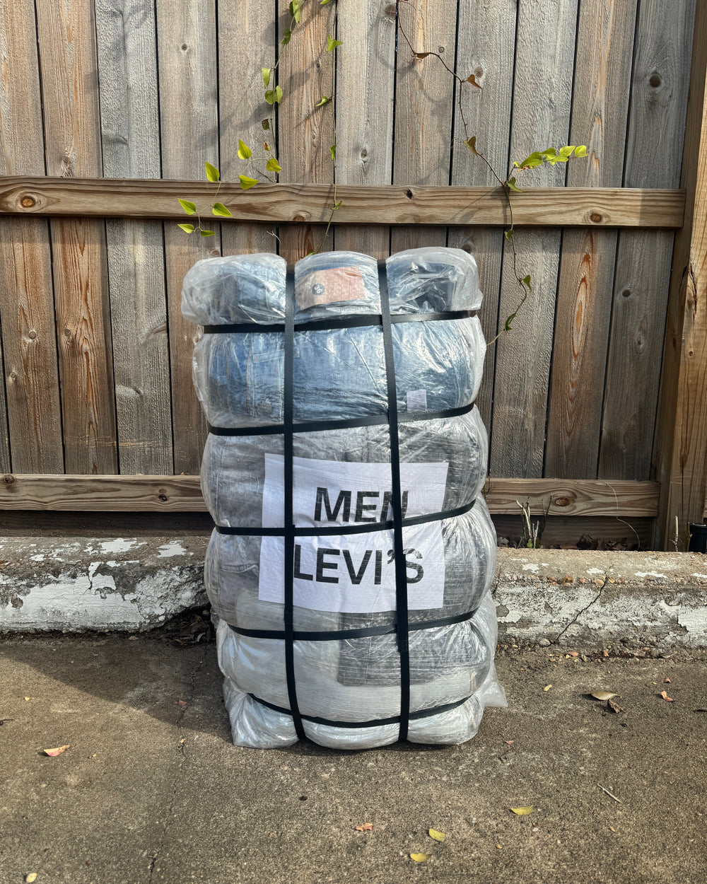 Men Levi's New