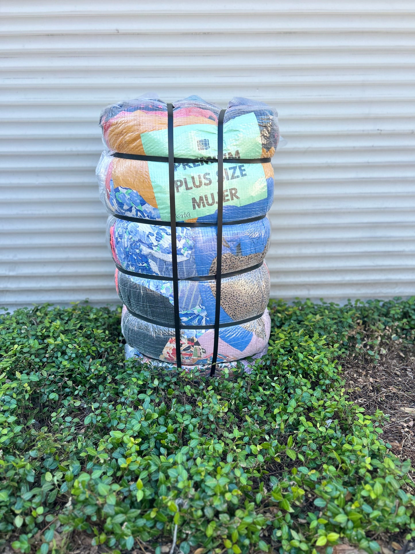 Premium Plus Size Mujer