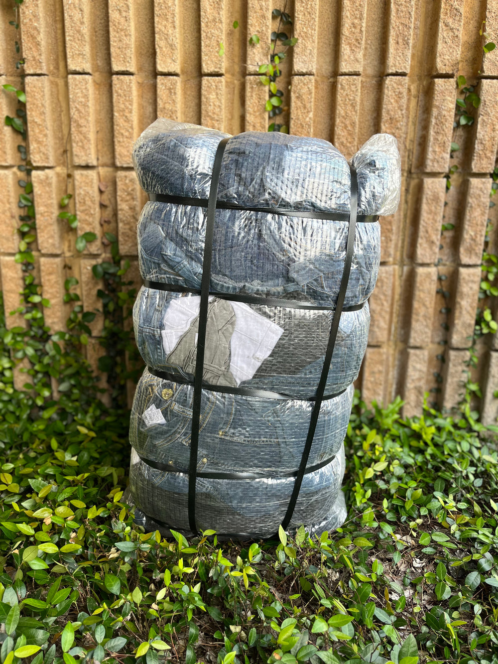 Jeans Mixto ECO