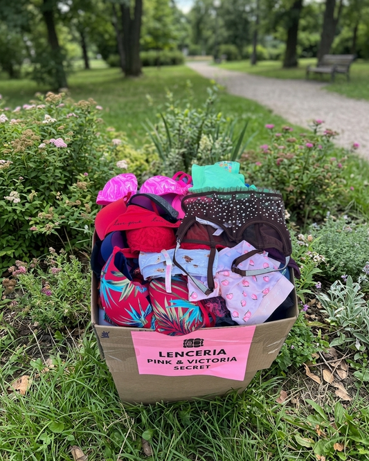 Lencería Pink y Victoria Secret Mixta (50 LBS)