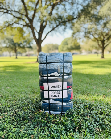 Ladies Dress Pant #2