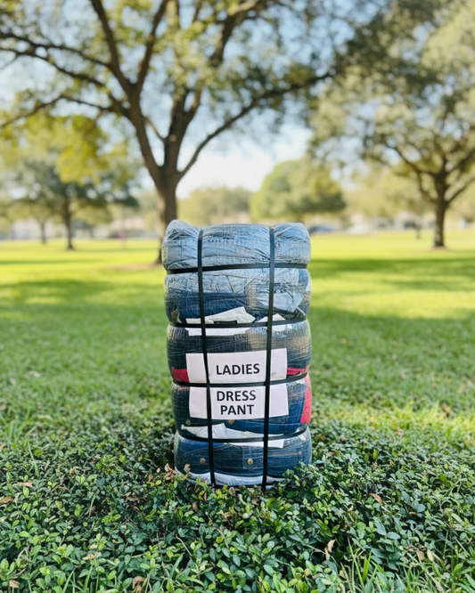 Ladies Dress Pant #2