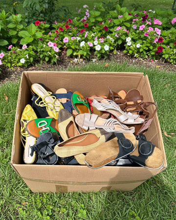 Ladies Shoes #1 (55LBS)