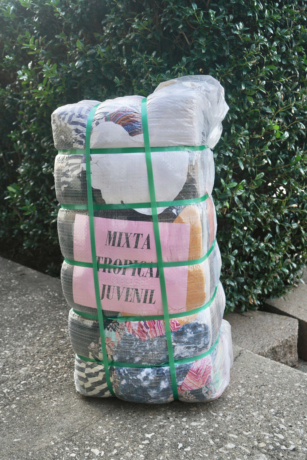 Mixta Tropical Juvenil #2