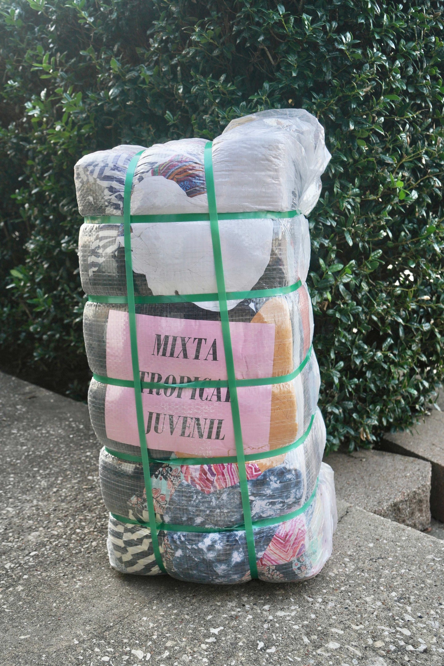 Mixta Tropical Juvenil #2