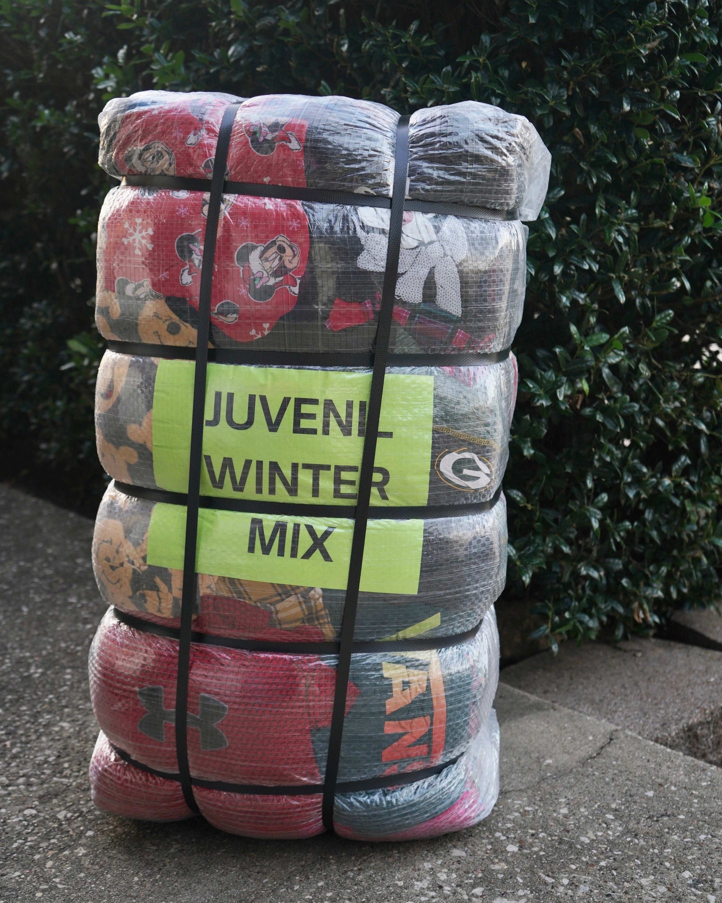 Juvenil Winter Mix #1